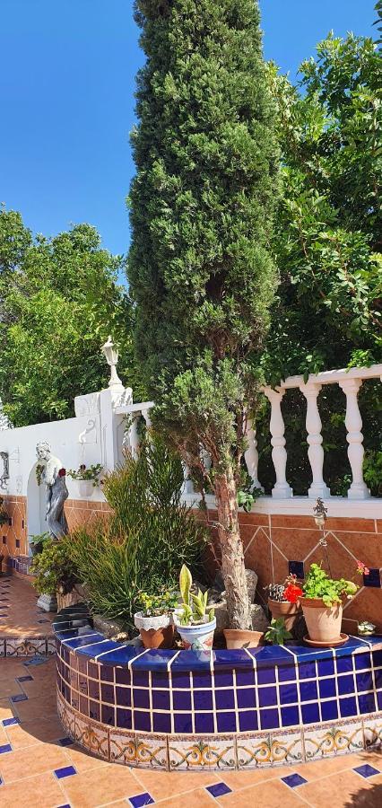 Villa Violetta Callao Salvaje Bagian luar foto