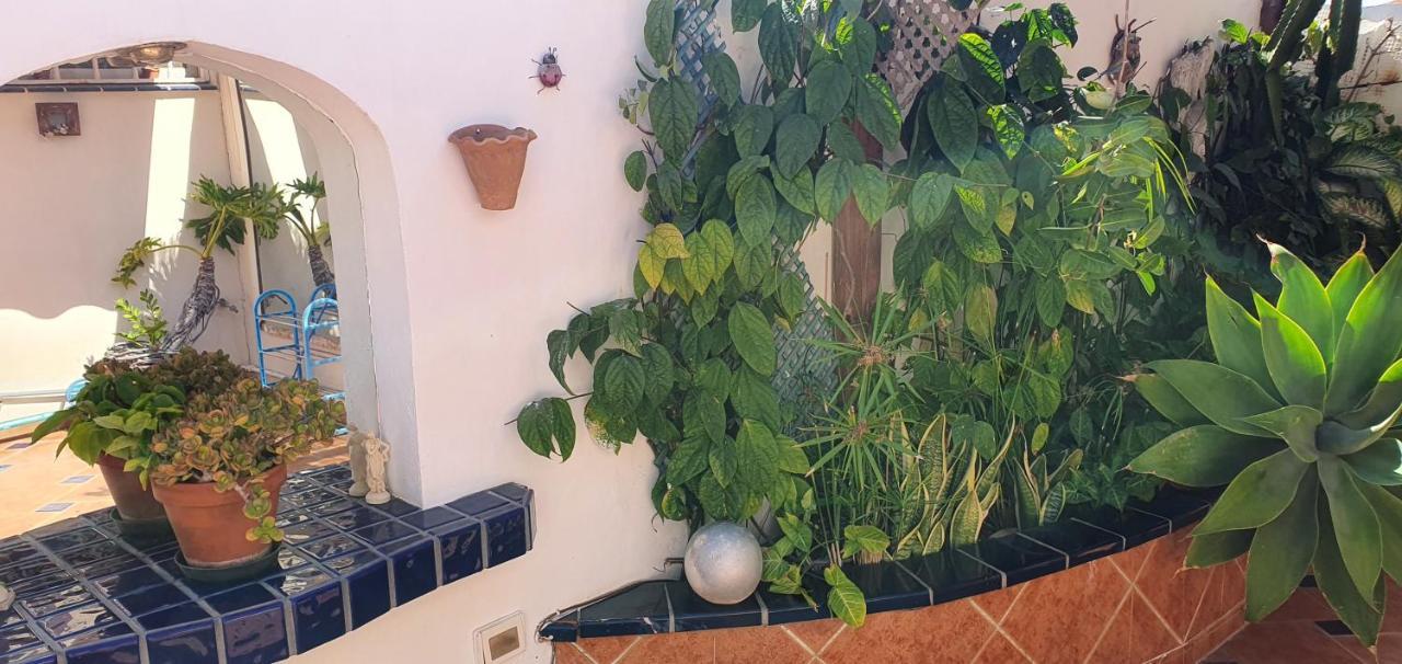Villa Violetta Callao Salvaje Bagian luar foto